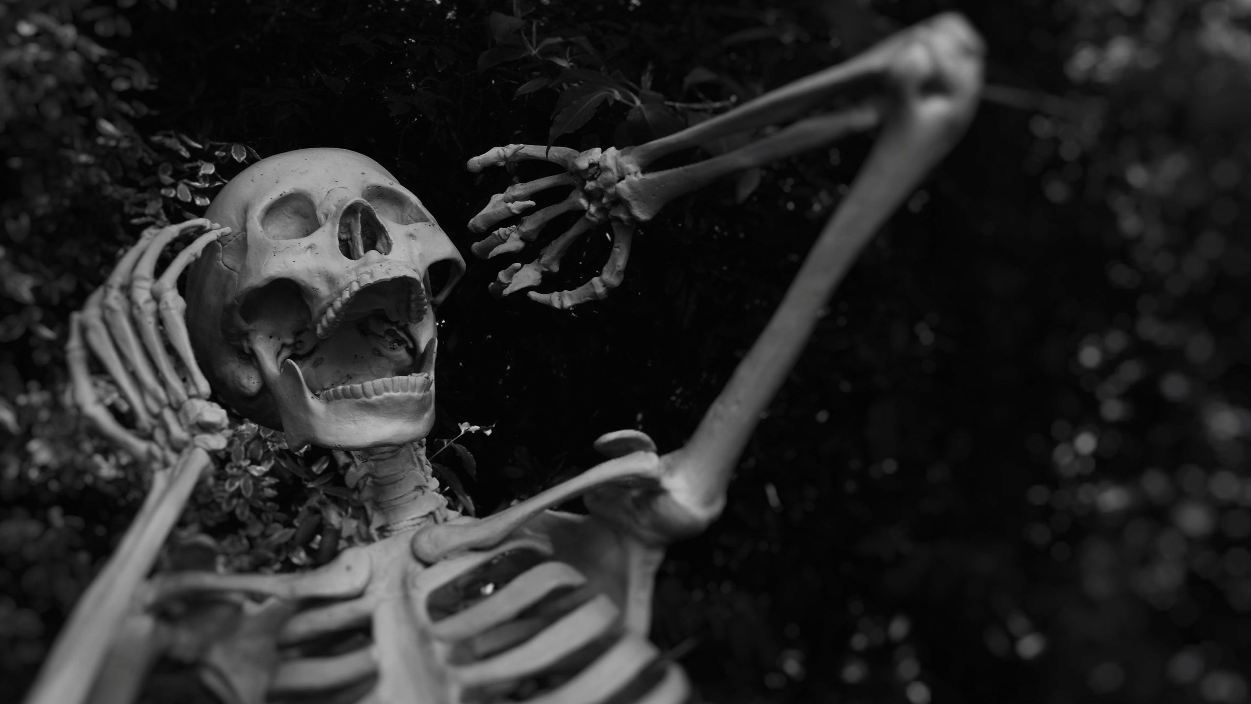 Variety of ear tip sizes included with Apple AirPods Pro 3