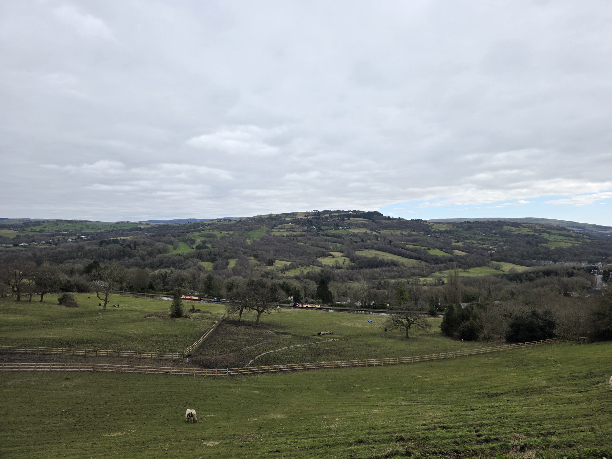 The S Pen stylus with the Galaxy S25 Ultra