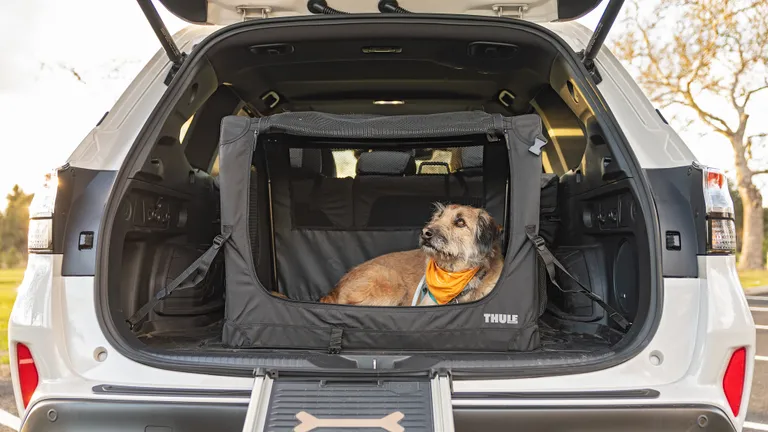 A foldable Subaru pet ramp extended from the Forester's rear, demonstrating easy access for a dog, with a travel bowl nearby.